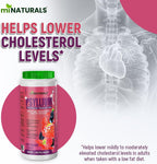 Sugar Free Psyllium Husk Powder (420G - 70 Doses - Berry), Helps with Constipation, Weight Loss, Lowering Cholesterol - Natural Source by