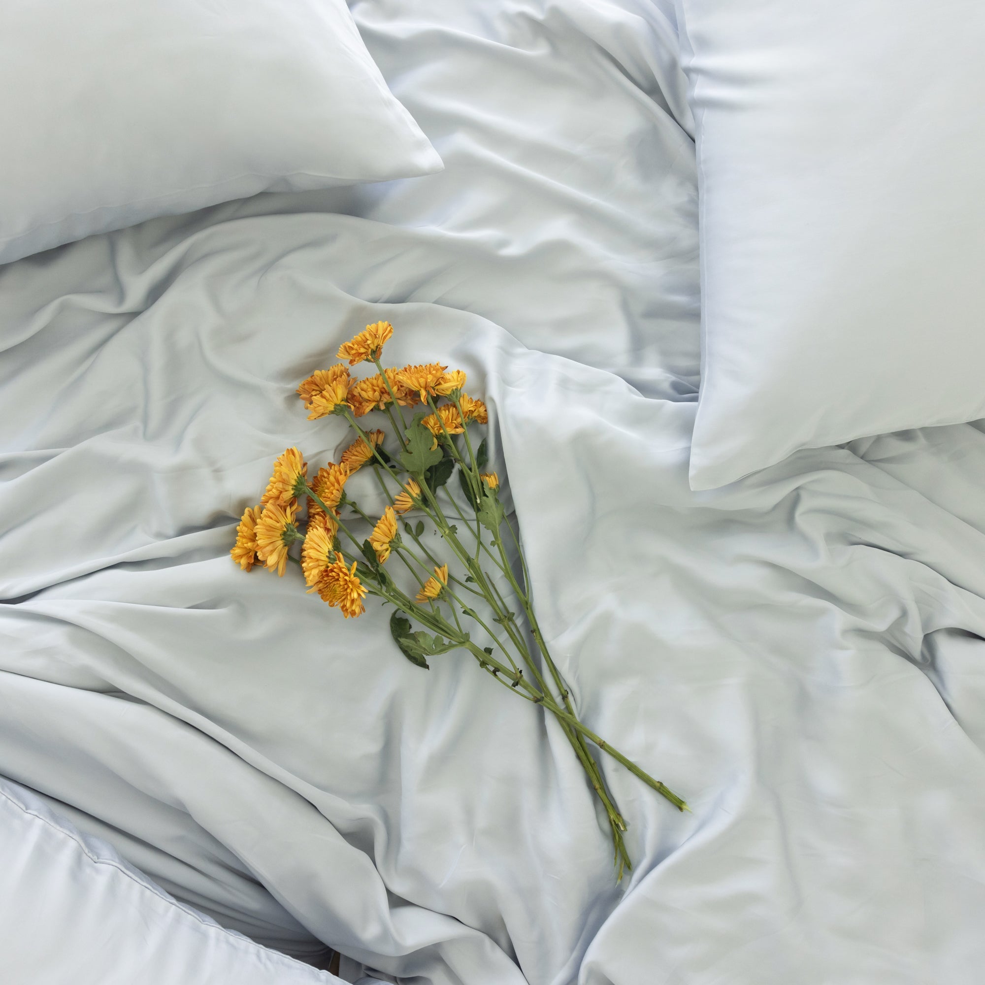 Organic Bamboo Sateen Bed Sheet Set