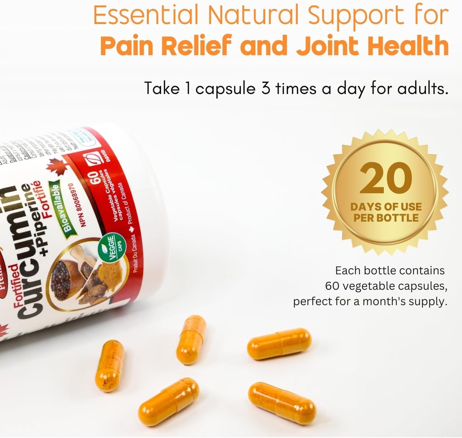 Fortified Curcumin + Piperine 60 Vcaps